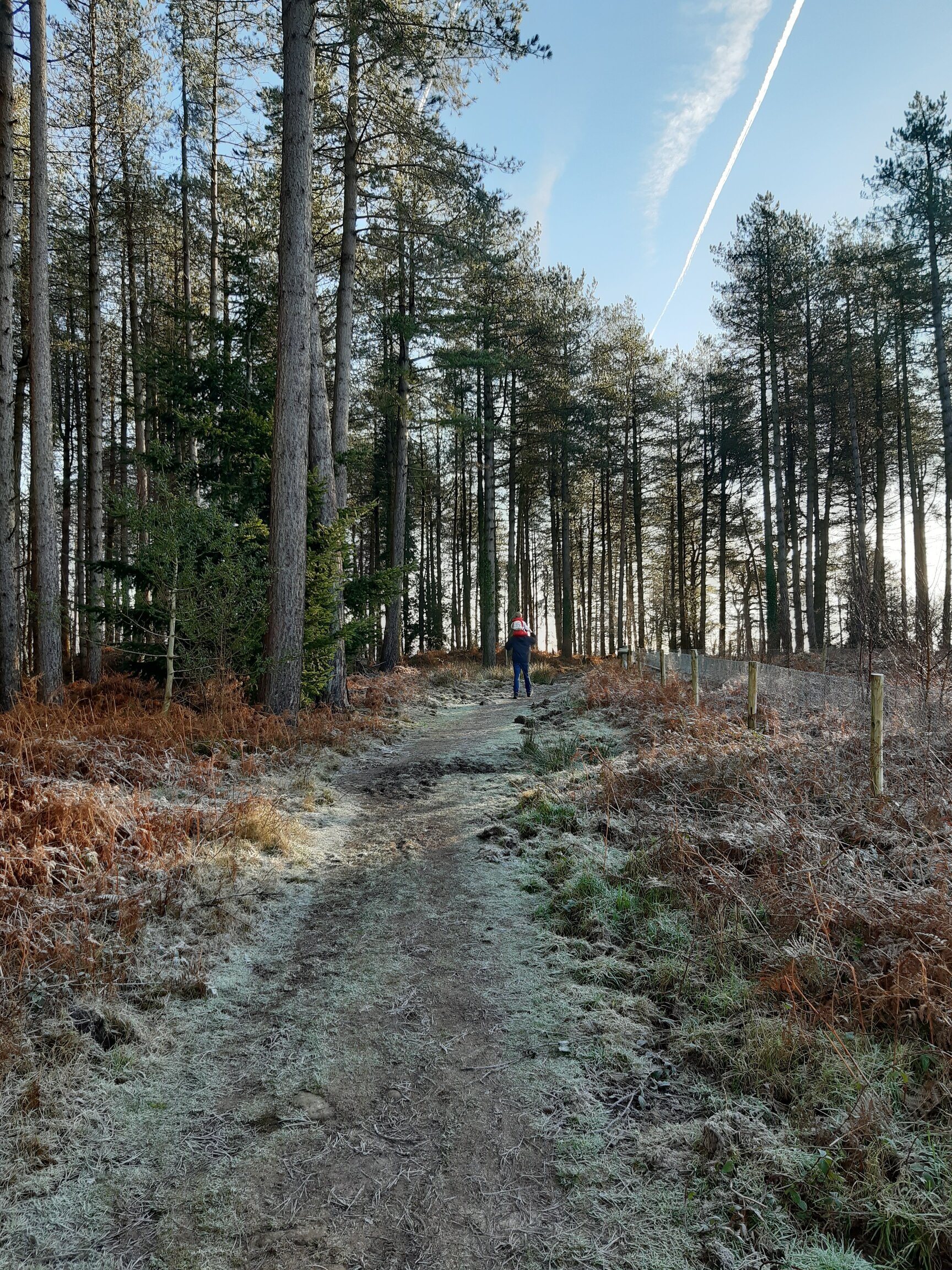 Forest of Dean District Council CPRE Gloucestershire