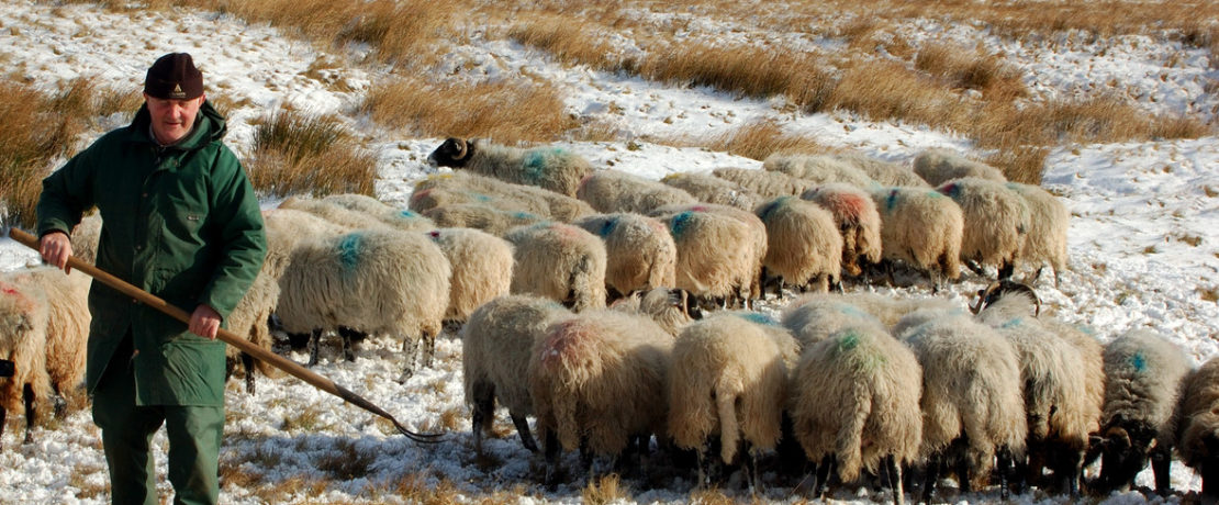 Sustainable farming with Patrick Holden