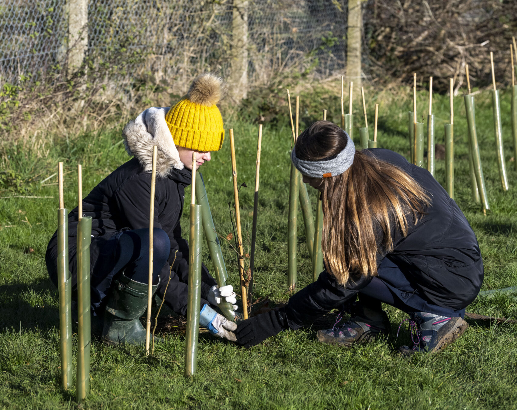 Hedgerow Heroes Project