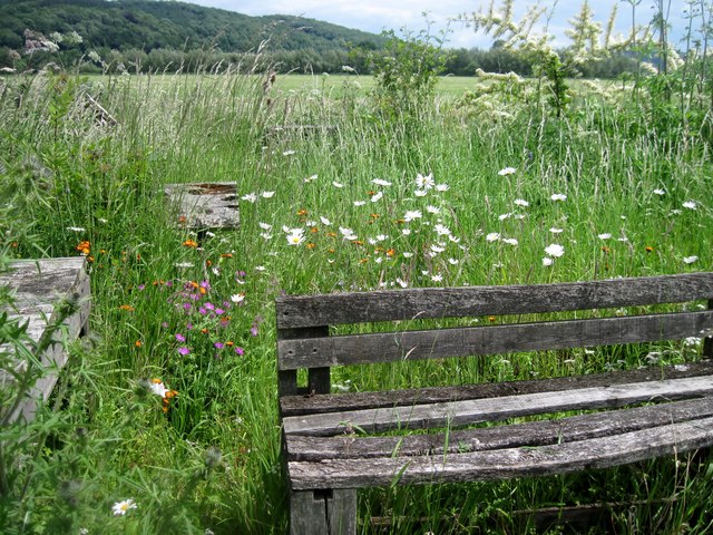 Shipley Gardens, Holme Lacy